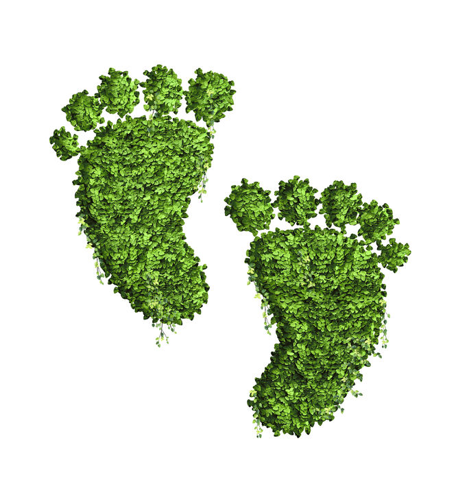 Ecology footprint design concept from many green leaf .